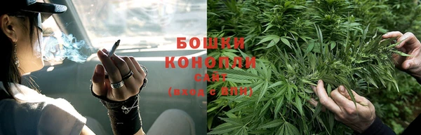 мяу мяу мука Пересвет