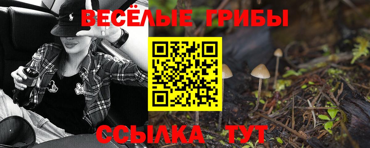 Псилоцибиновые грибы прущие грибы Партизанск